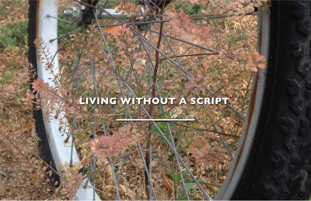 Living without a script